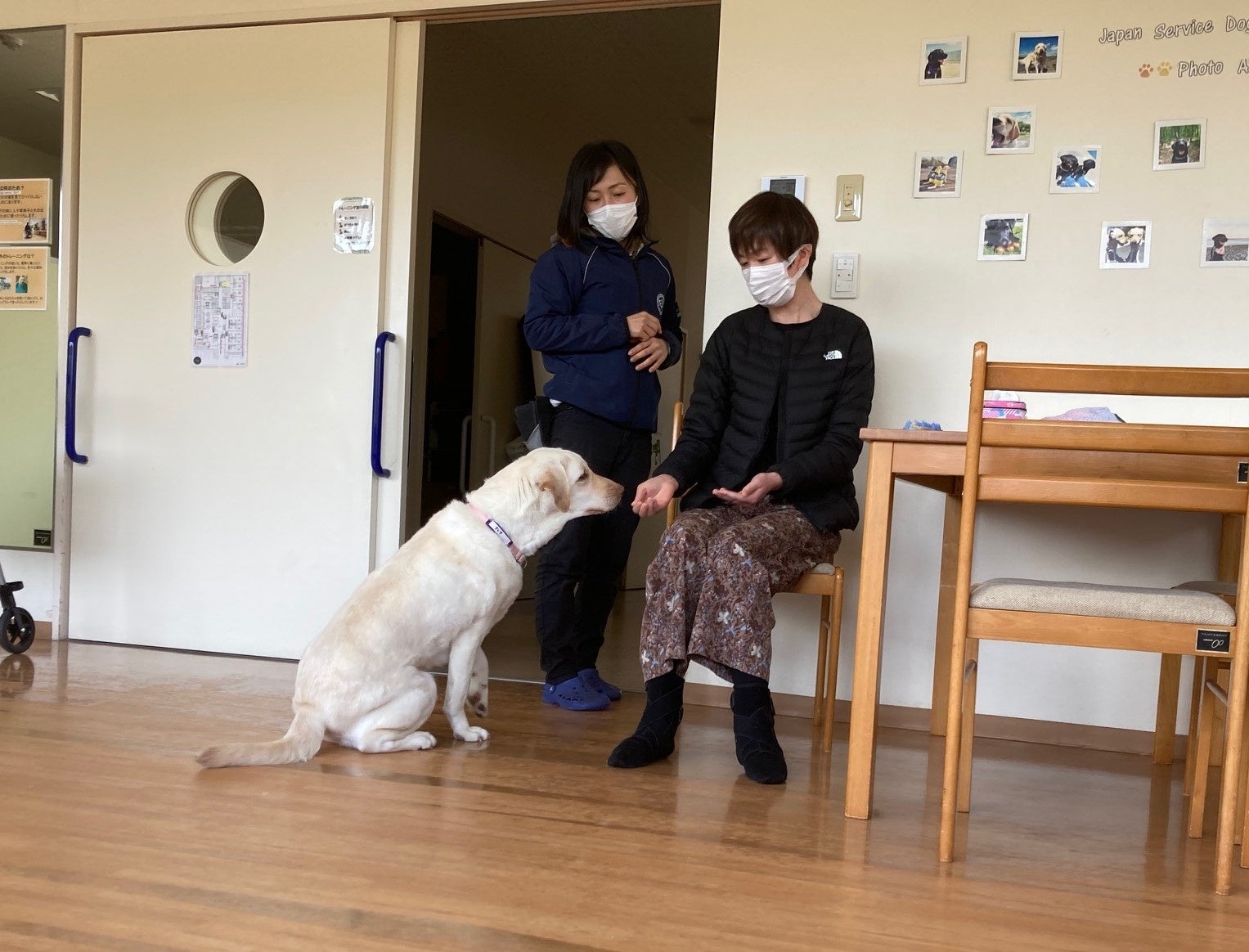 3月に行われた体験入所の際の青戸さんと候補犬クレア