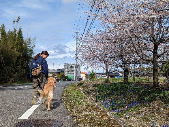 ハンドラーと付添犬
