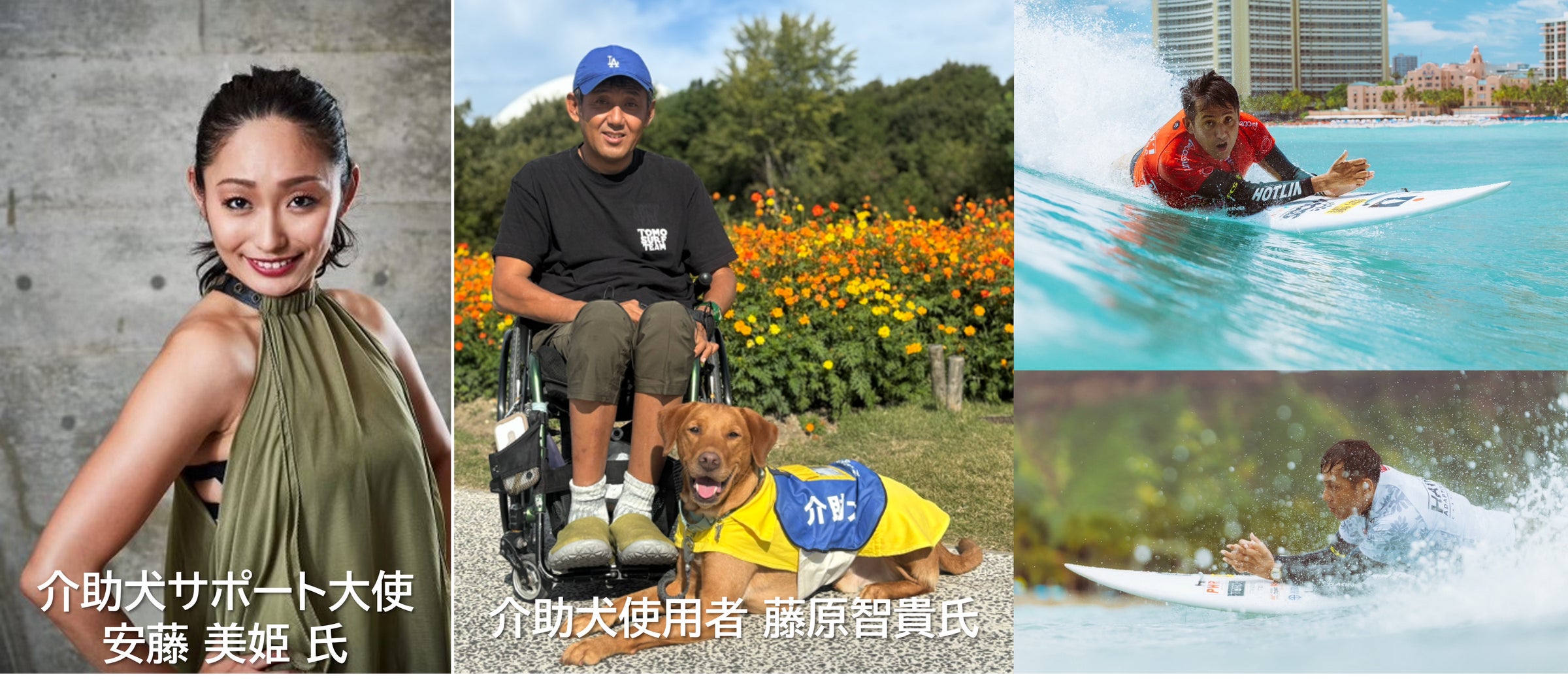 【2026年10月24日】代々木公園で『第二回代々木カップ モルック&モルっ子選手権』を開催!