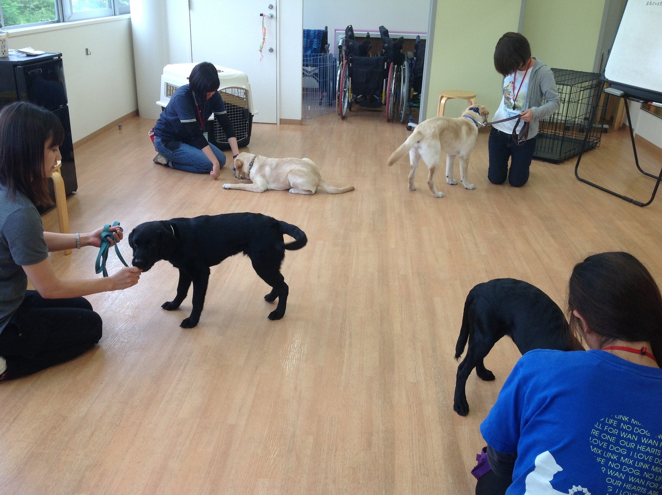 研修生制度（レッスン）の様子