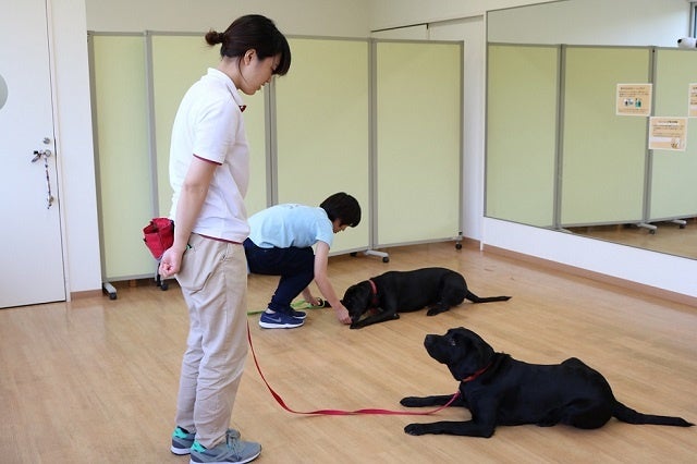 研修生制度（レッスン）の様子