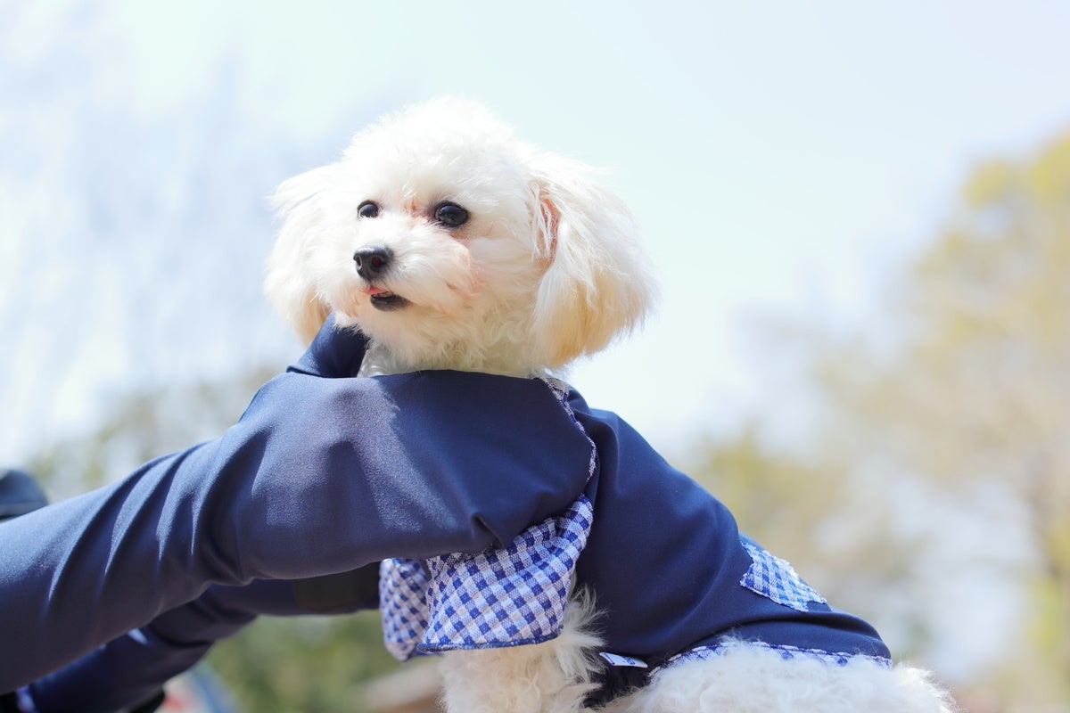 触れるとひんやり涼しく、吸水速乾性も◎。汗ばむ季節でも快適！