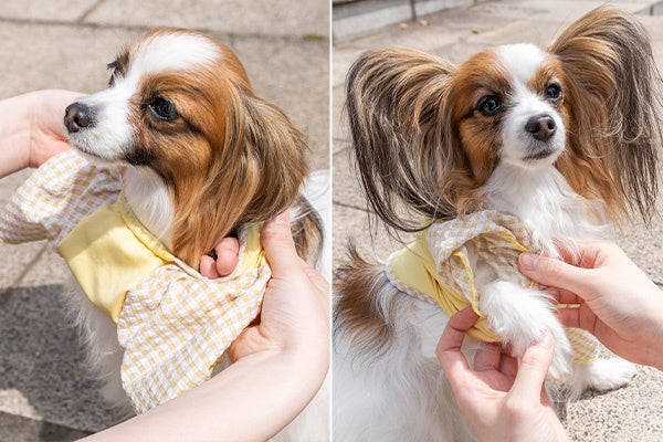 着脱のわずらわしさを解決！ぐっと伸びるから、”スッと”通せる！