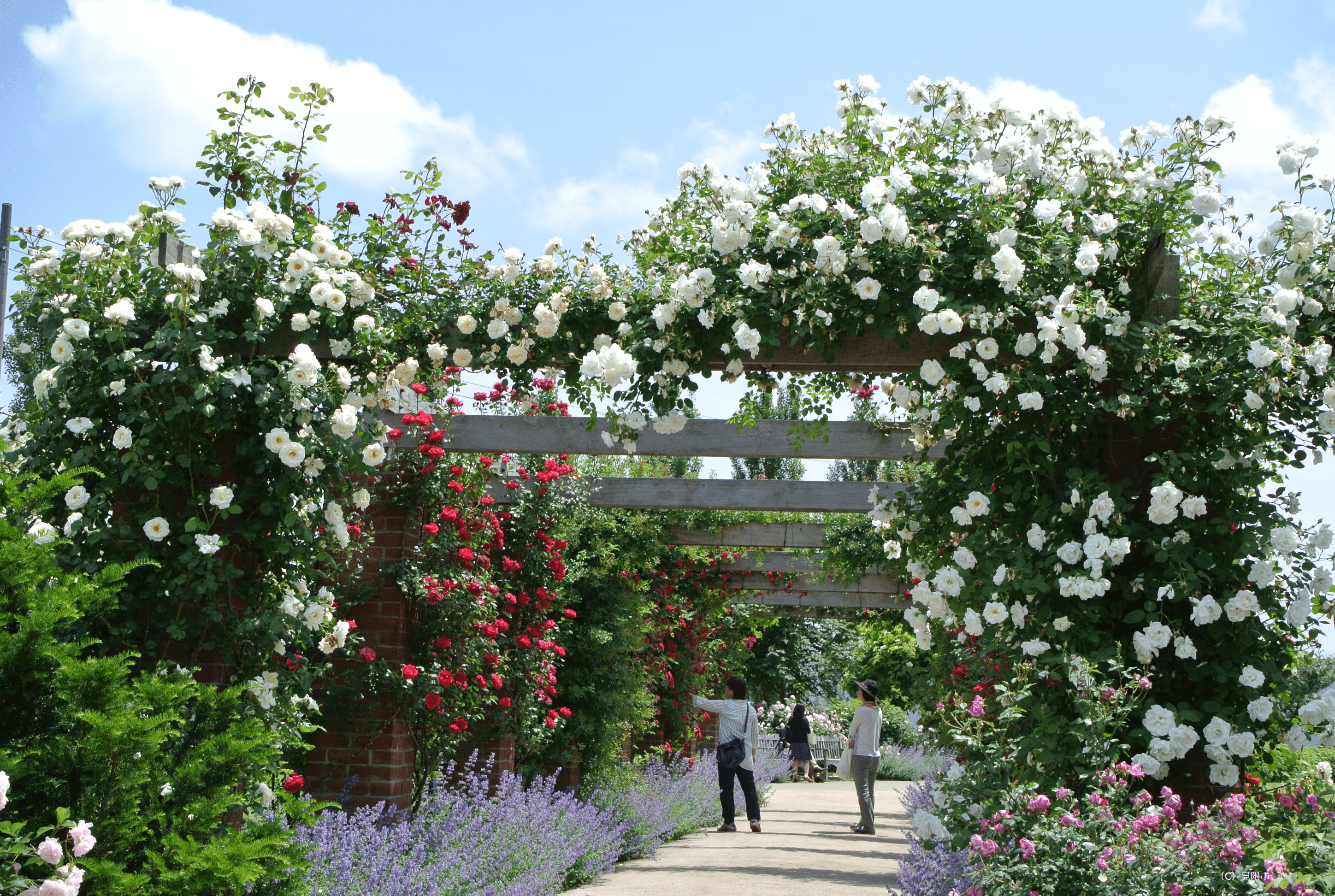 見附市の名所、イングリッシュガーデン