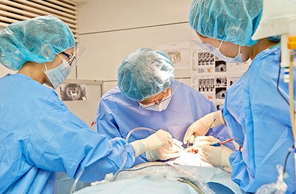 インプラント治療歴30年以上の技術力