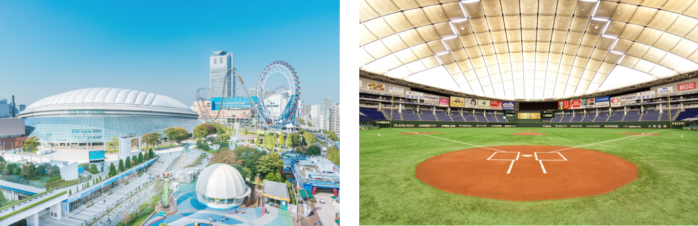 東京ドーム参考写真