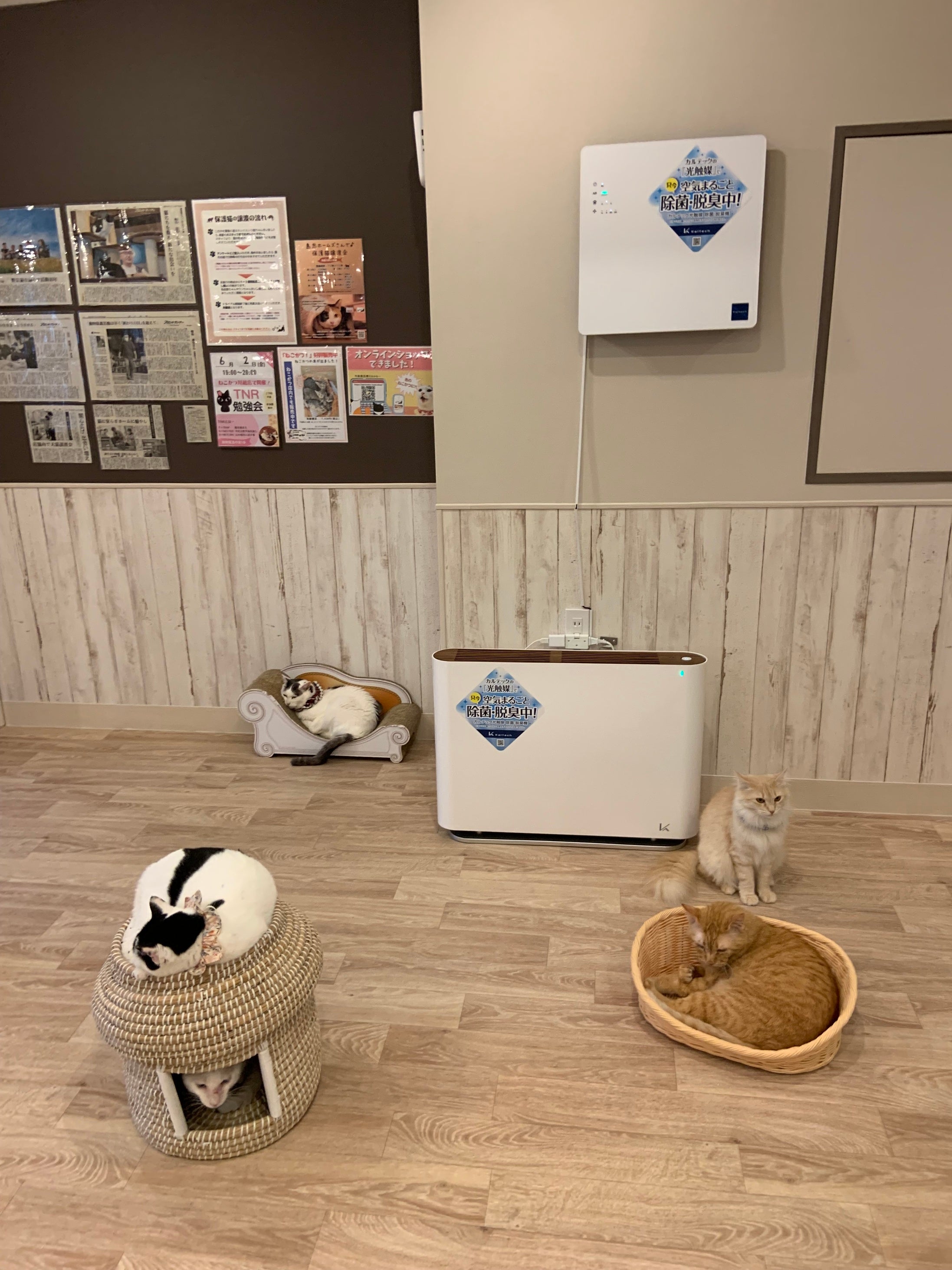 大容量床置きタイプとコルゲート活性炭フィルター搭載 光触媒除菌脱臭機