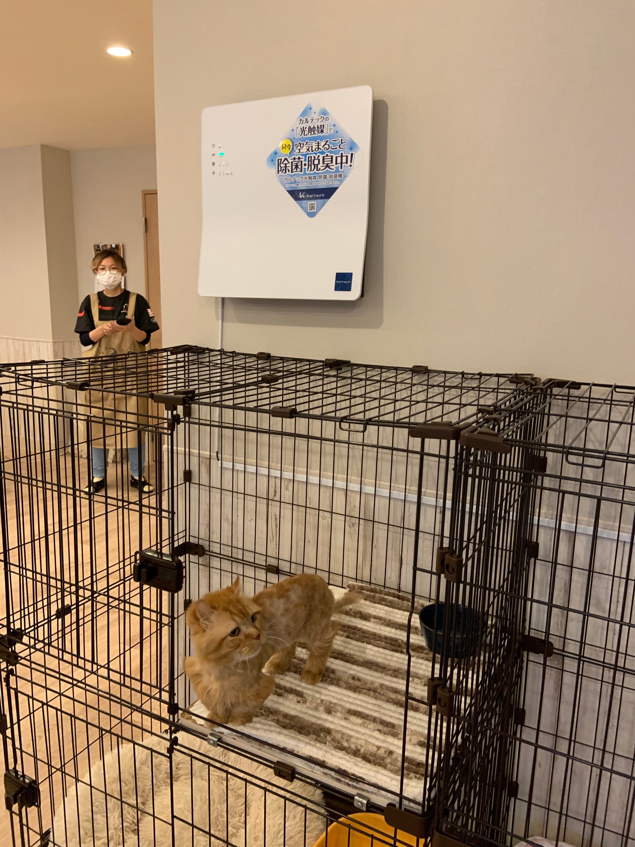 コルゲート活性炭フィルター搭載 光触媒除菌脱臭機