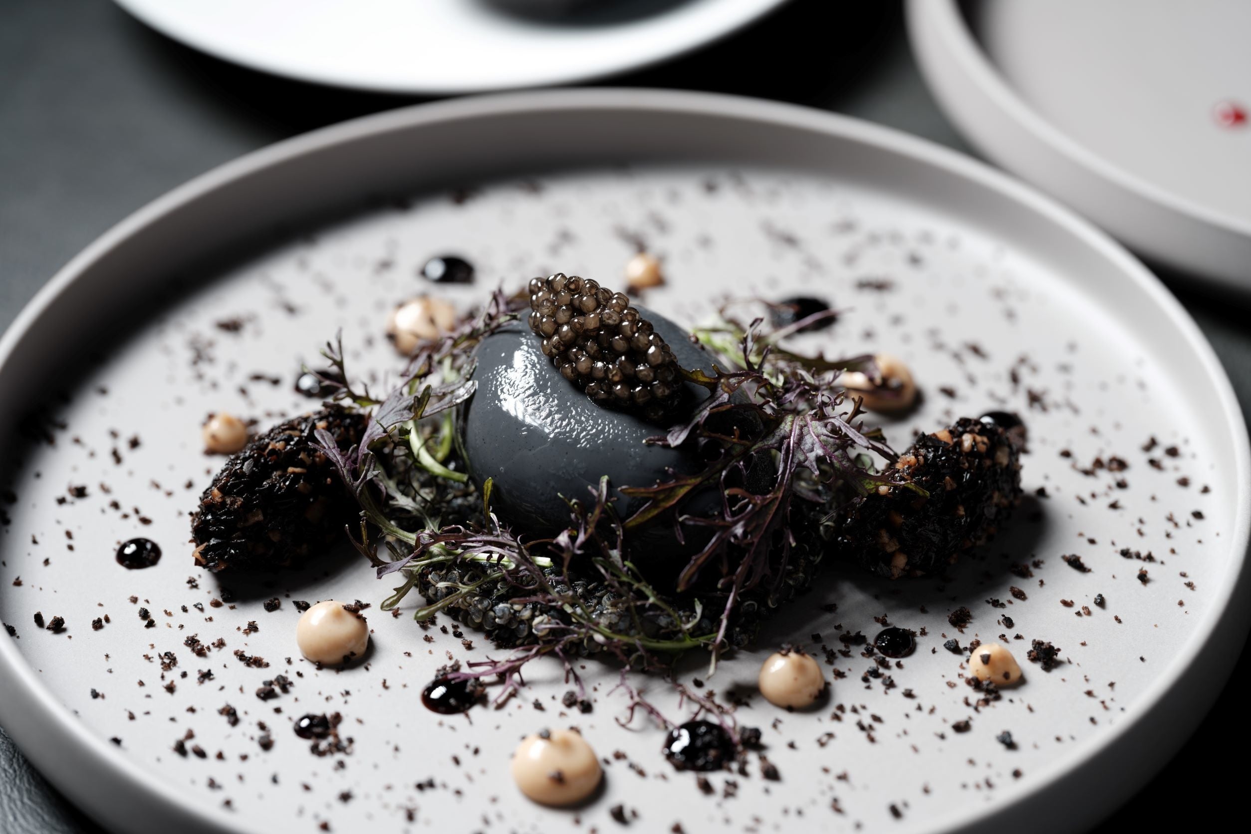 ポーチドエッグのブラックショーフロワ　　　　　　　　　　　　　　　　　　　                          キノアとイカのタブレ トランペット茸のデュクセル バルサミコクリーム 黒ニンニクマヨネーズ キャビア