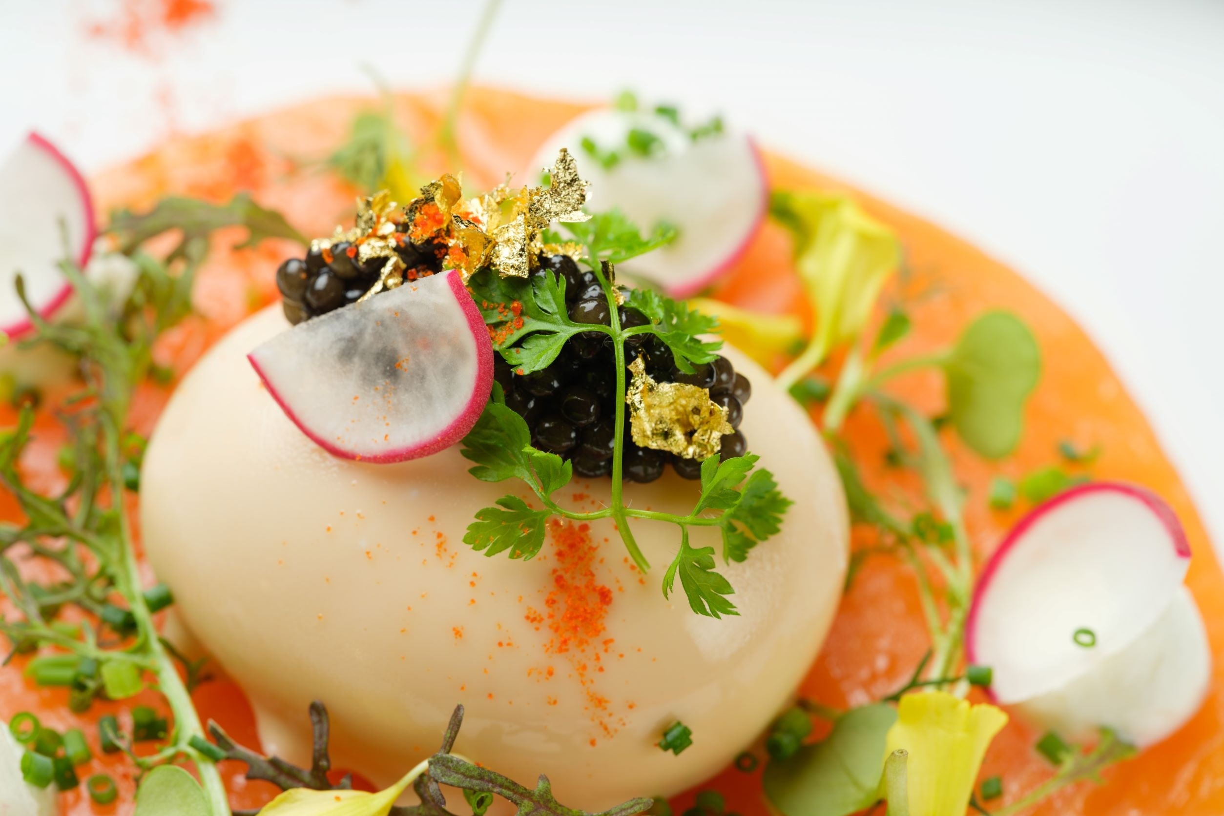 円形スモークサーモントラウト オマール海老クリームを纏ったポーチドエッグ ベルギー産オシェトラキャビア 金箔 マイクロサラダ