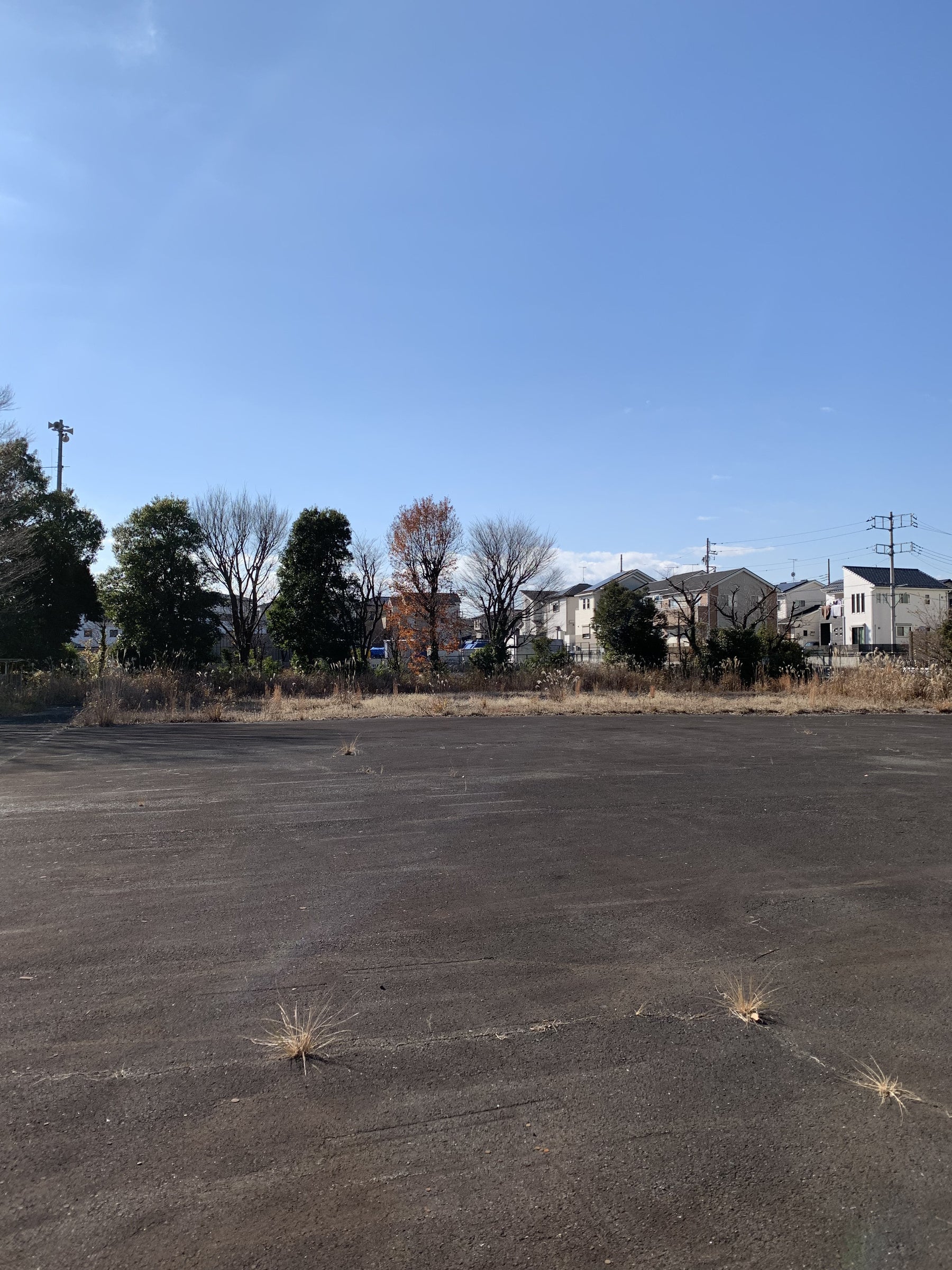 試験用地（屋外）