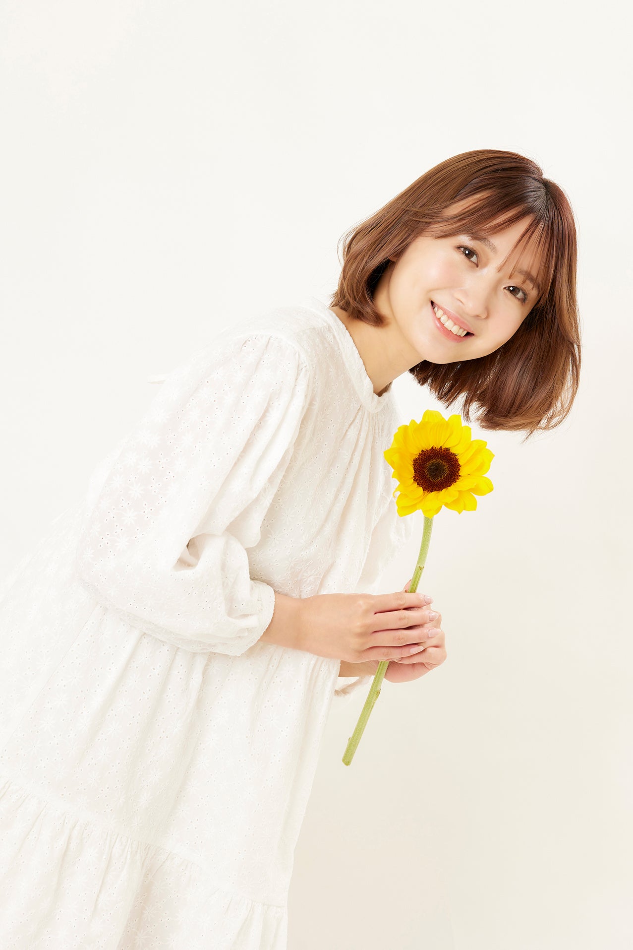 新種の向日葵 新種の向日葵