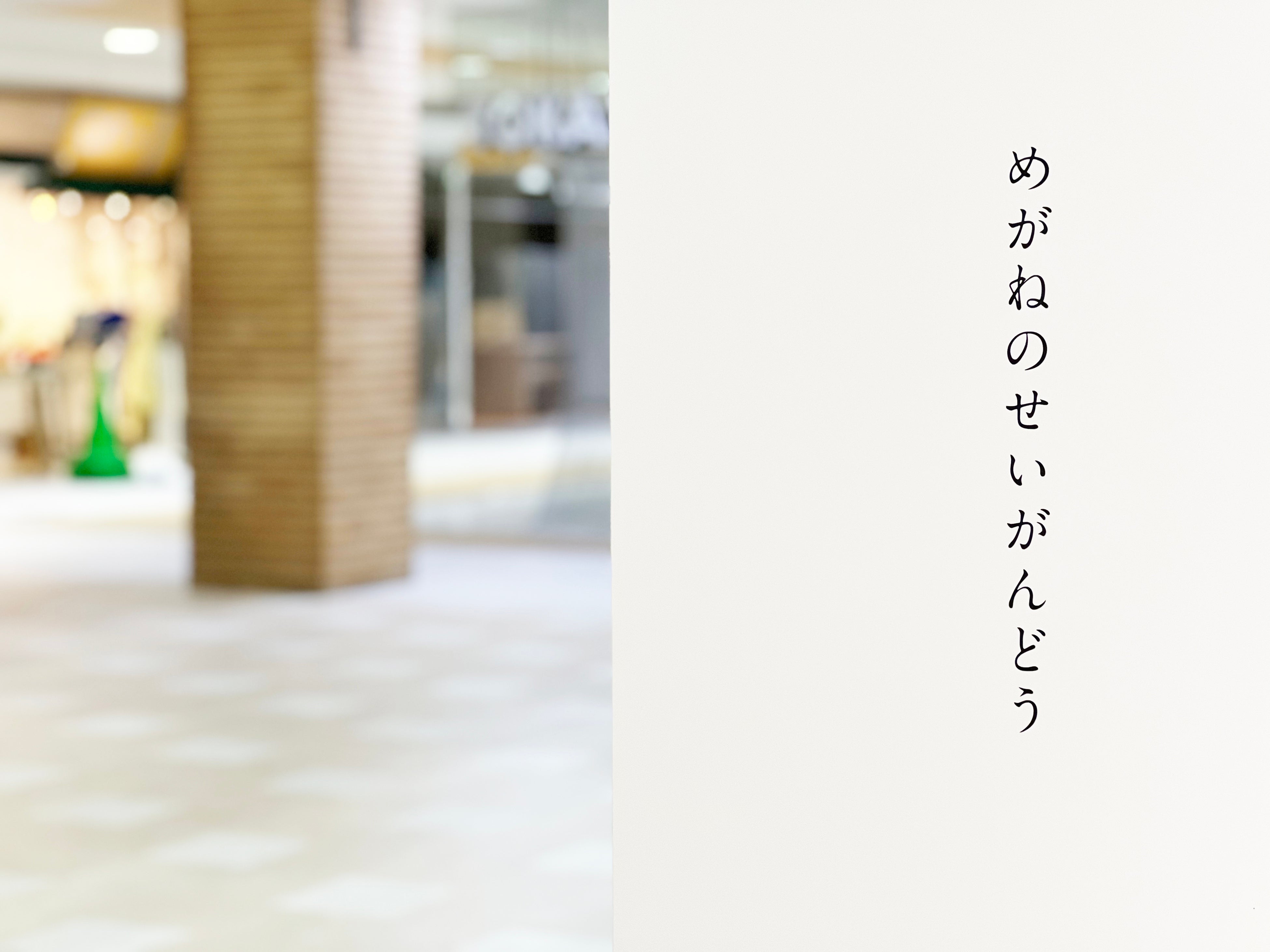 めがねのせいがんどう「正眼堂」が店名です。