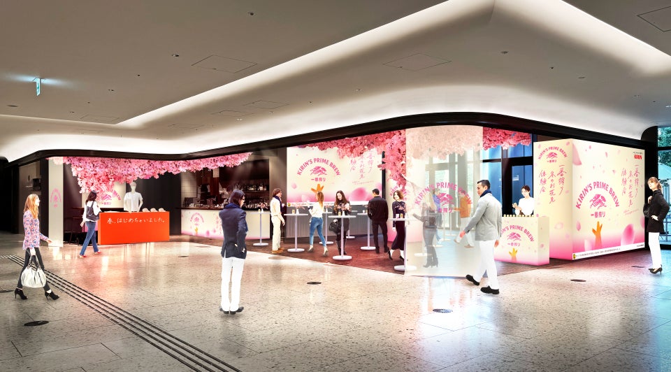 2月にホンモノの桜が満開!立春を迎え、暦の上では春到来 「一番搾り 2月にホンモノの桜が満開!立春を迎え、暦の上では春到来 「一番搾り