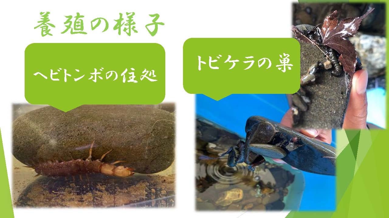 ※提供：上伊那農業高校