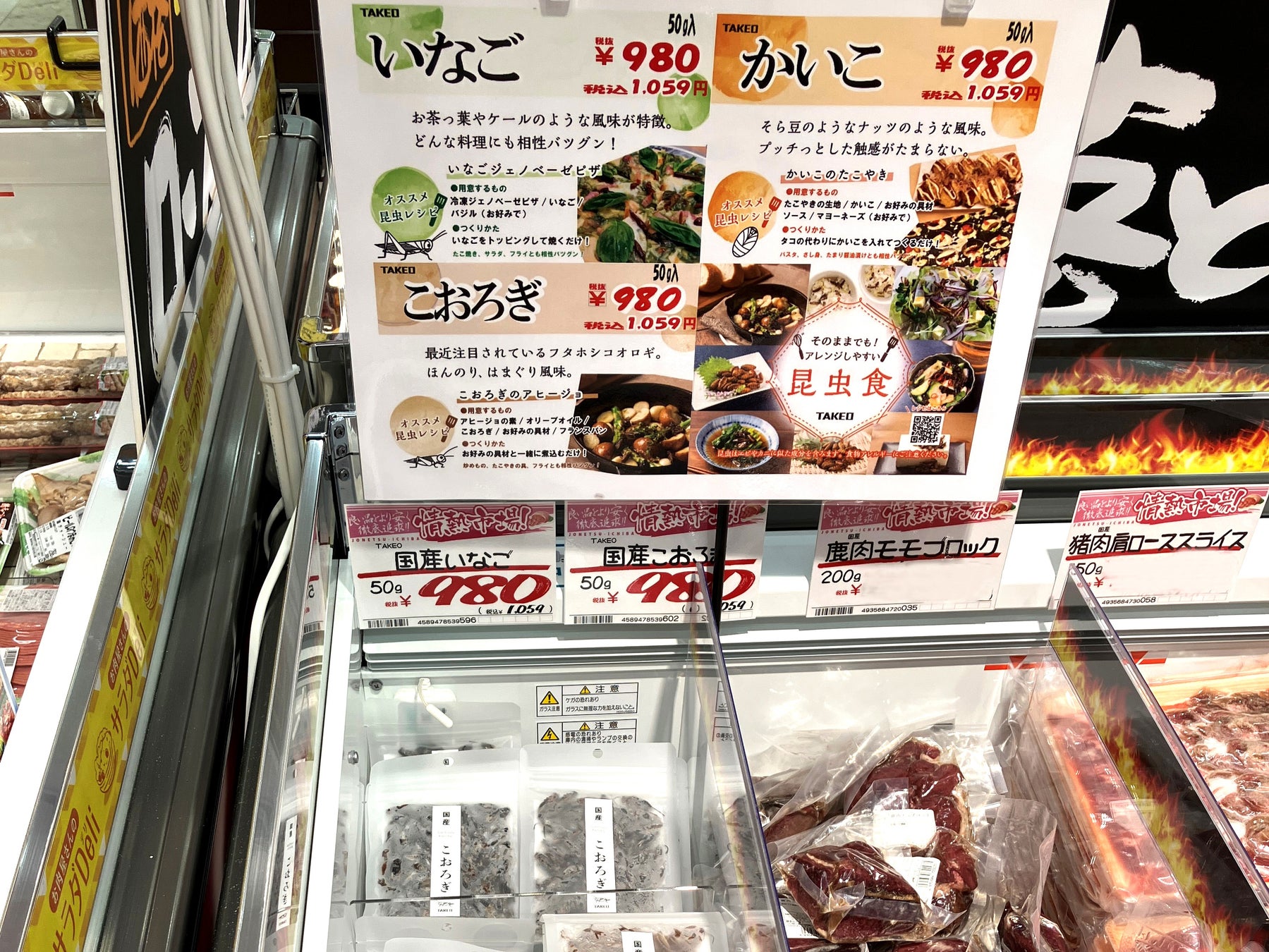 活動歴および当時の関連ビジュアル記録