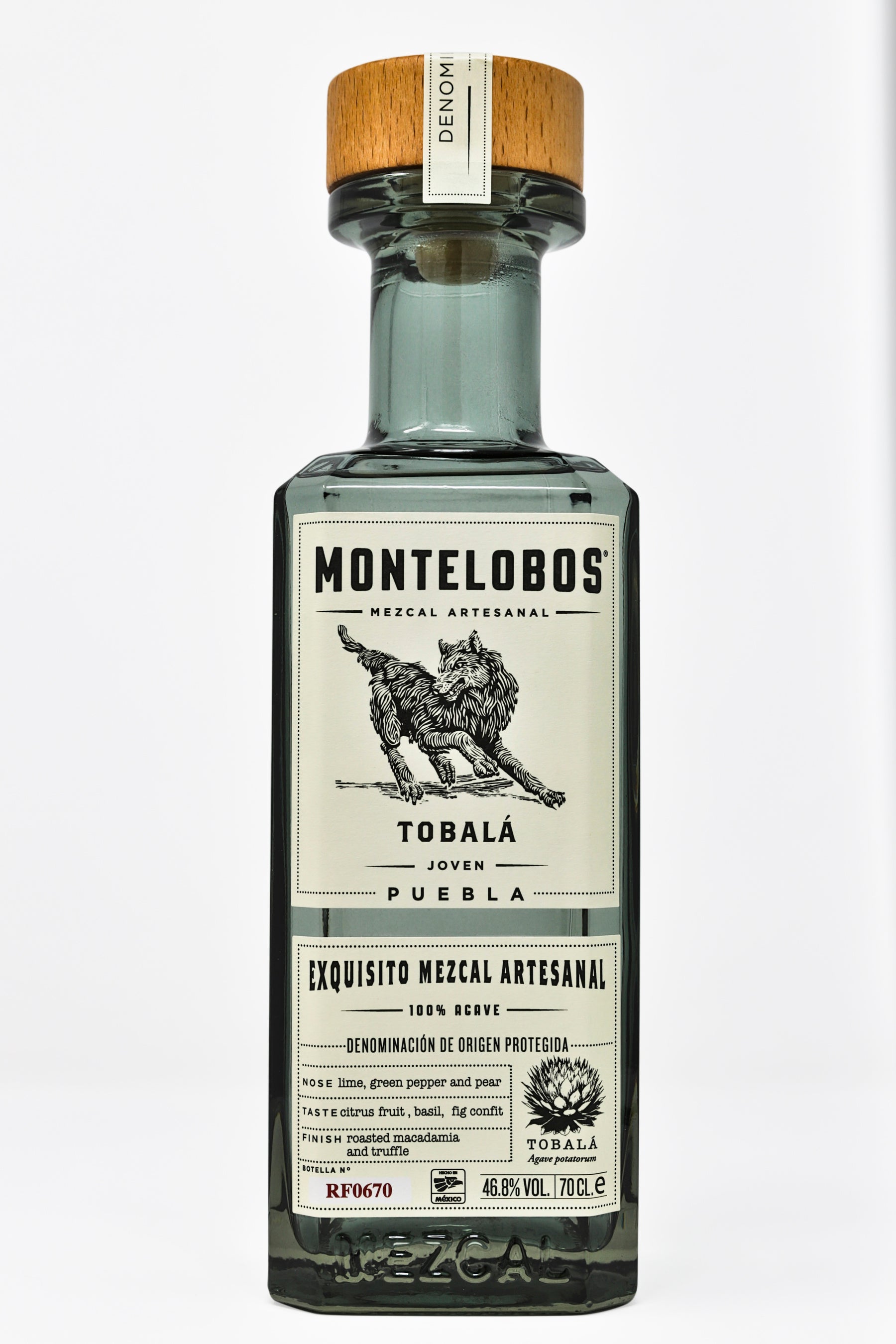 モンテロボス エンサンブル