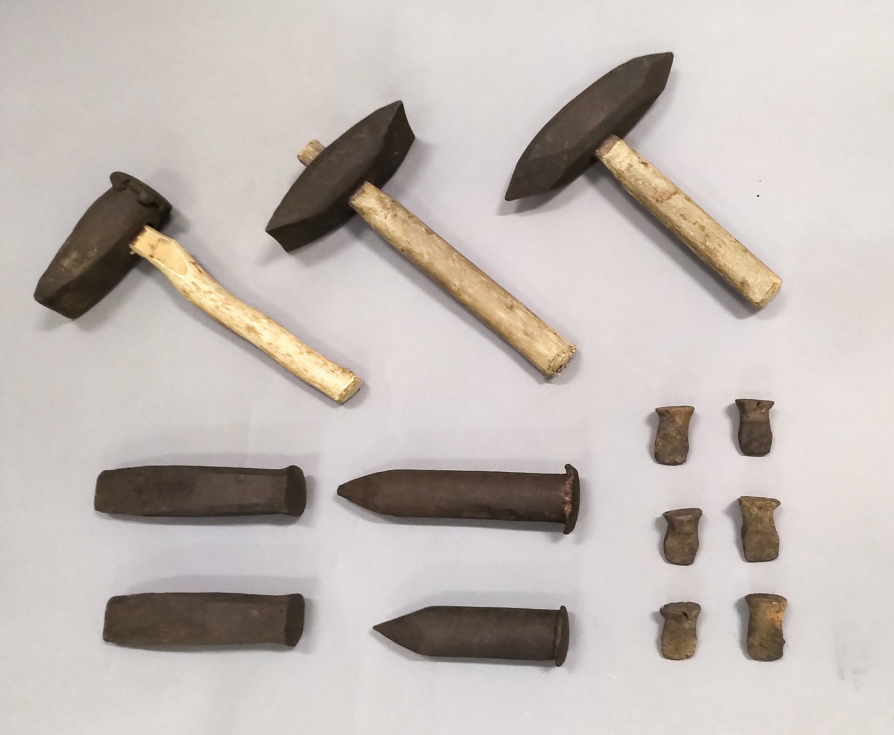 上段：ツチ類。下段：左からヤ、ノミ、マメヤ（画像は一部）