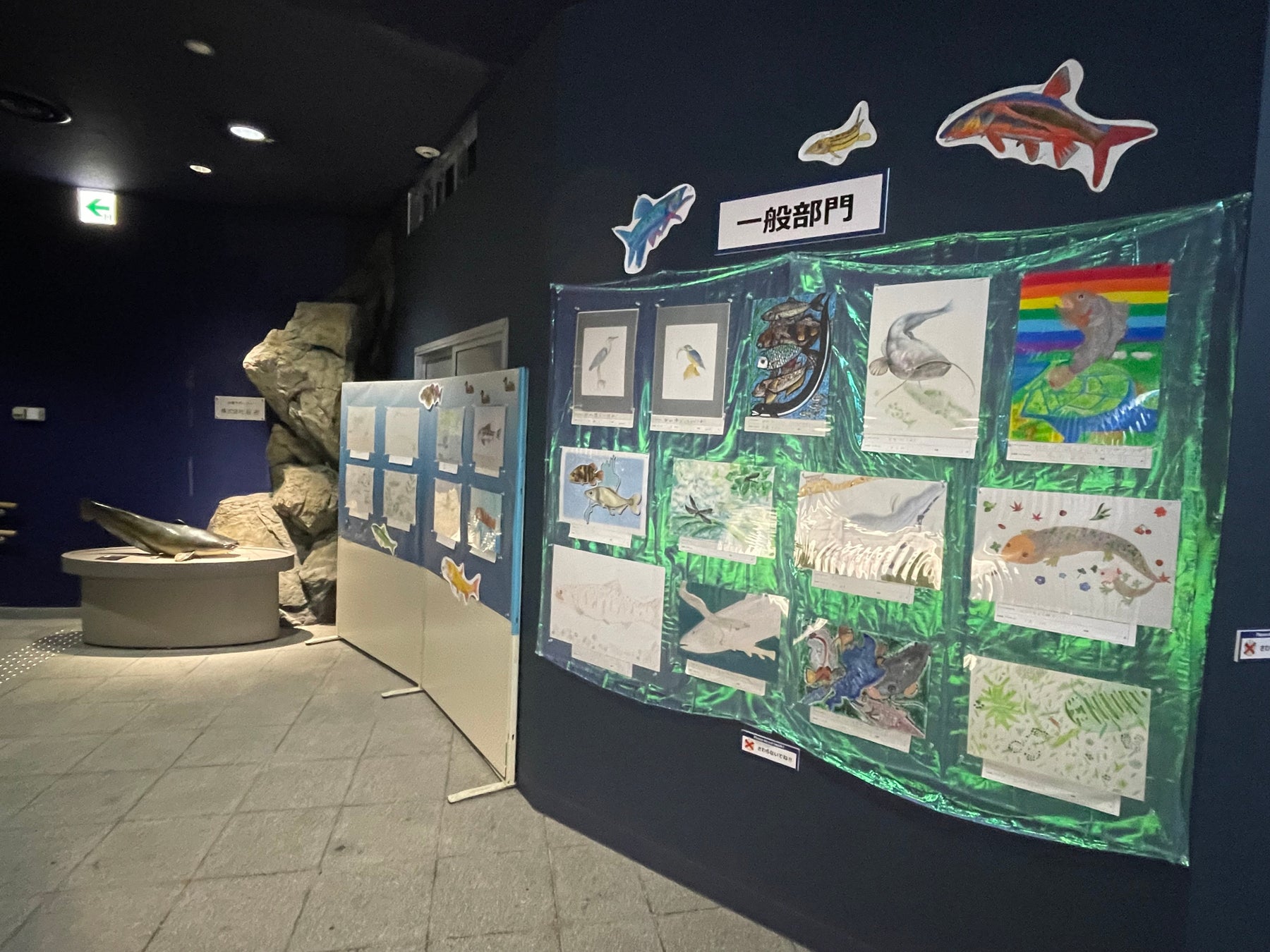 水族イラスト展 第３期展示開始！守りたい水辺の生き物をテーマに