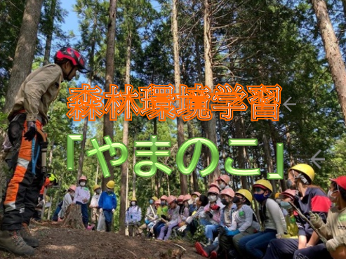 「森づくり体験学習」プログラム 林業のお話と間伐見学を実施中 （写真提供森林公園くつきの森）