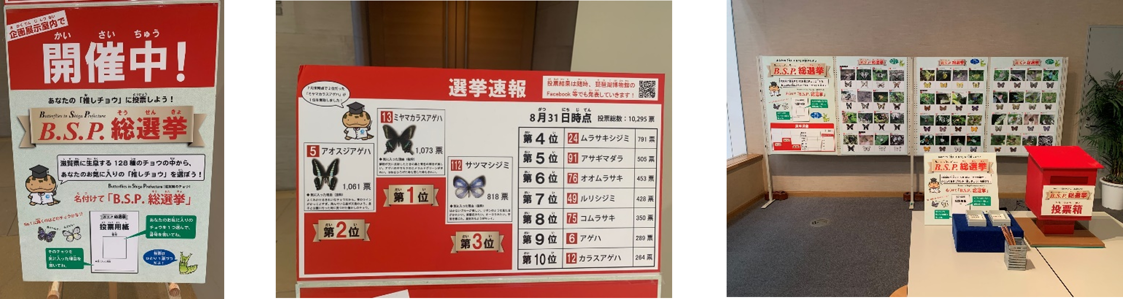 B.S.P総選挙の様子