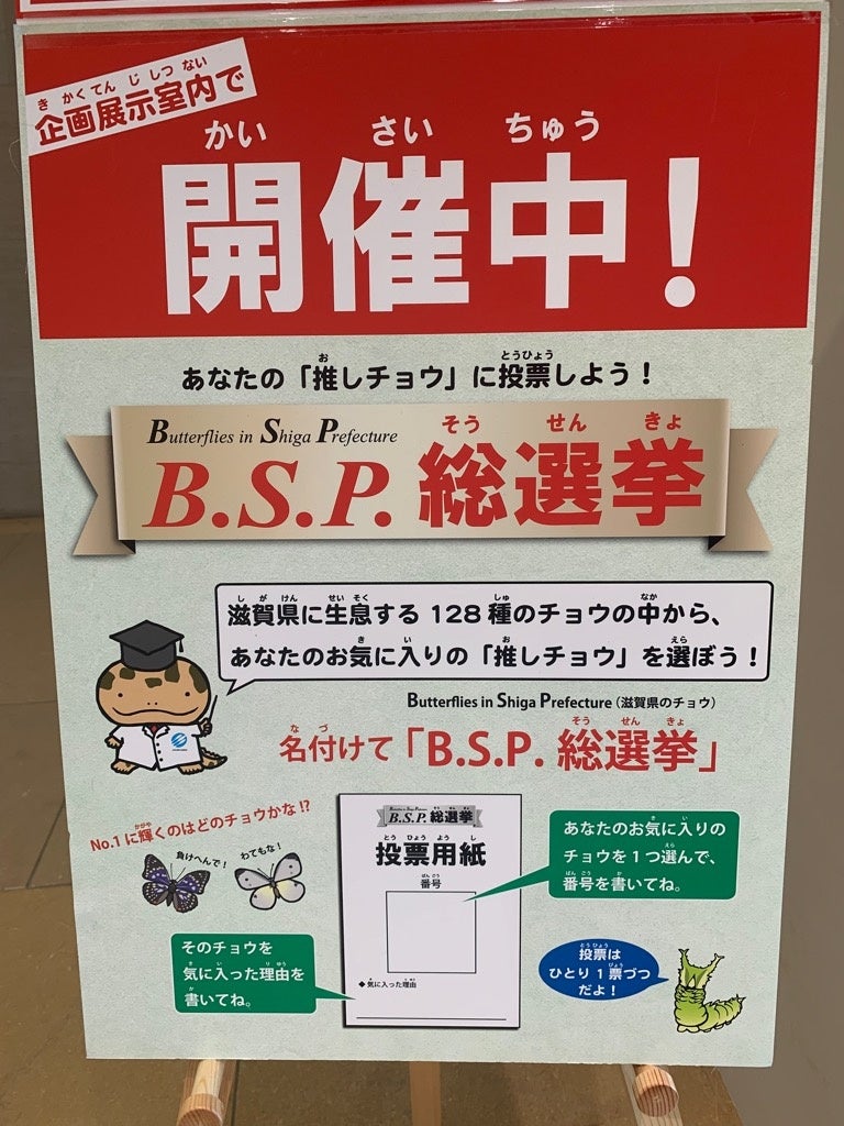 B.S.P総選挙の様子②