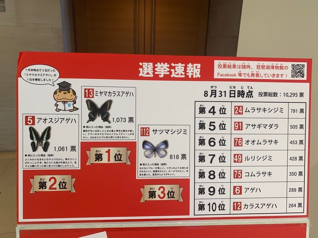 B.S.P総選挙の様子①