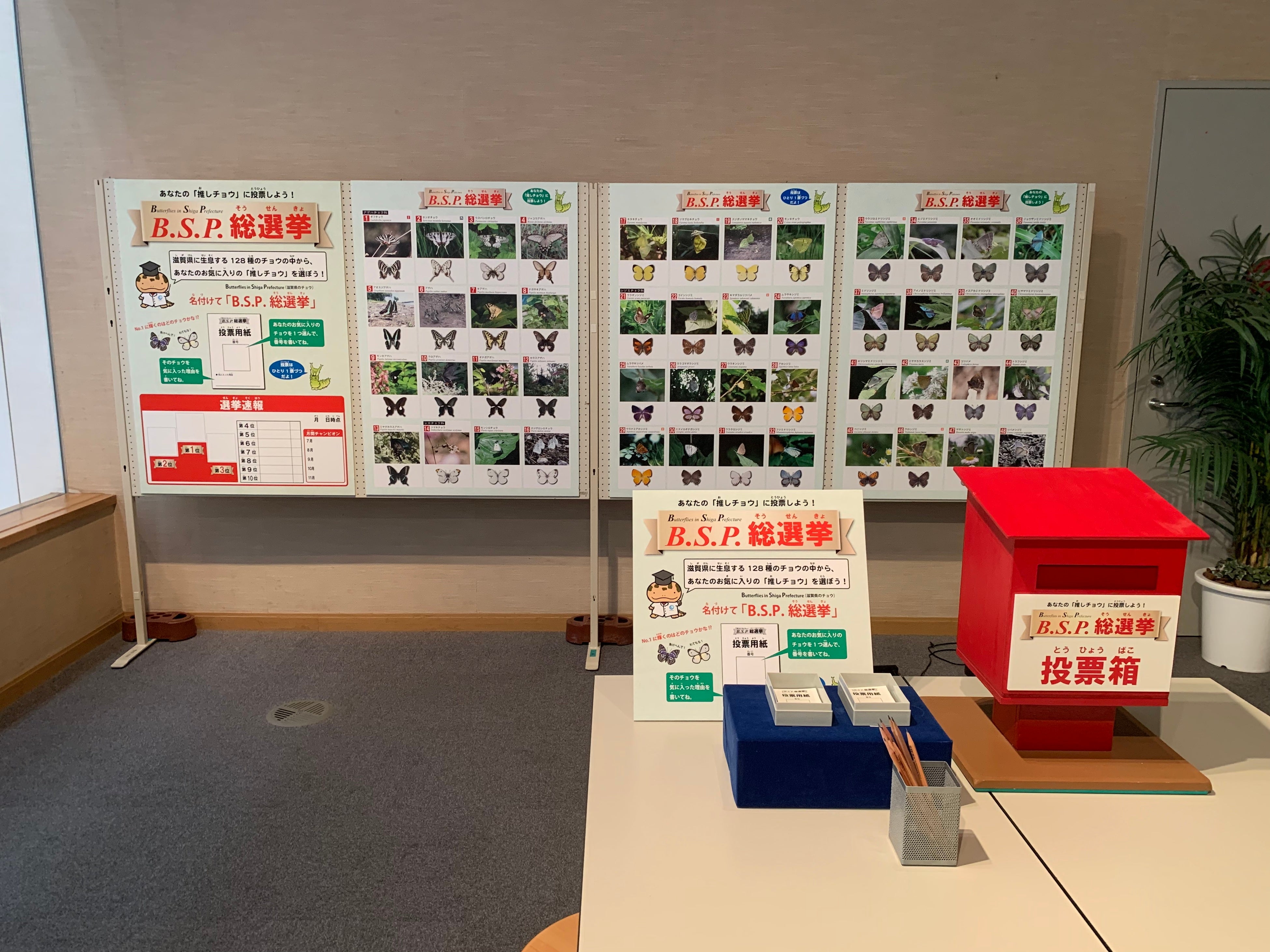 B.S.P総選挙の様子③