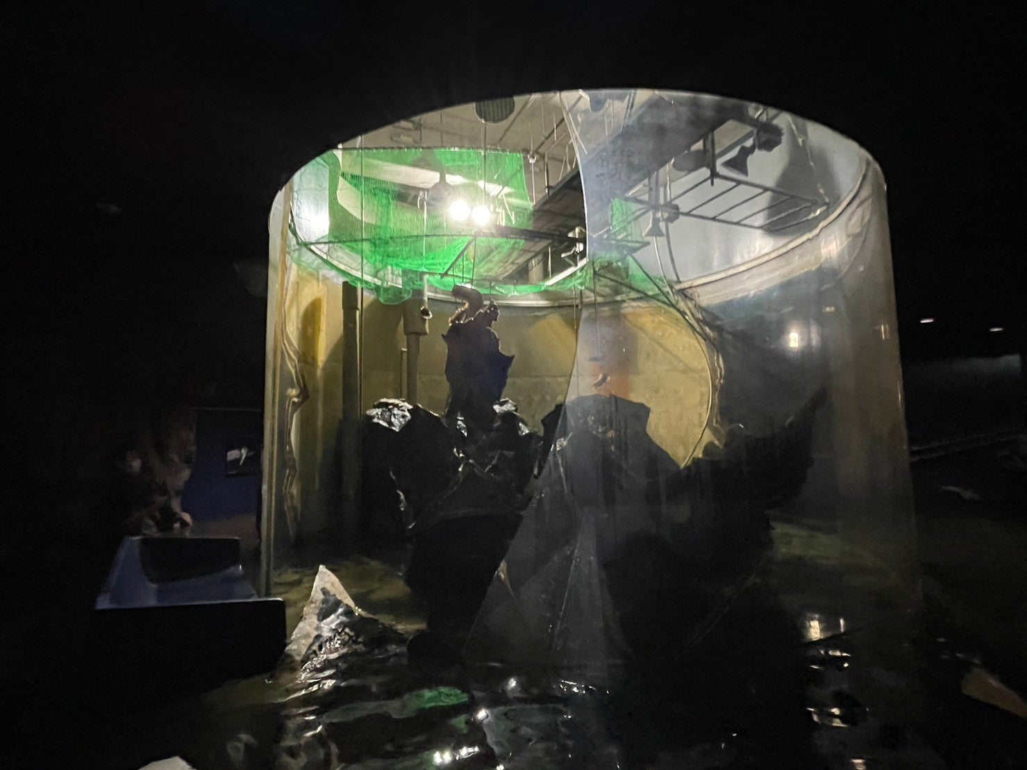 破損したビワコオオナマズ水槽