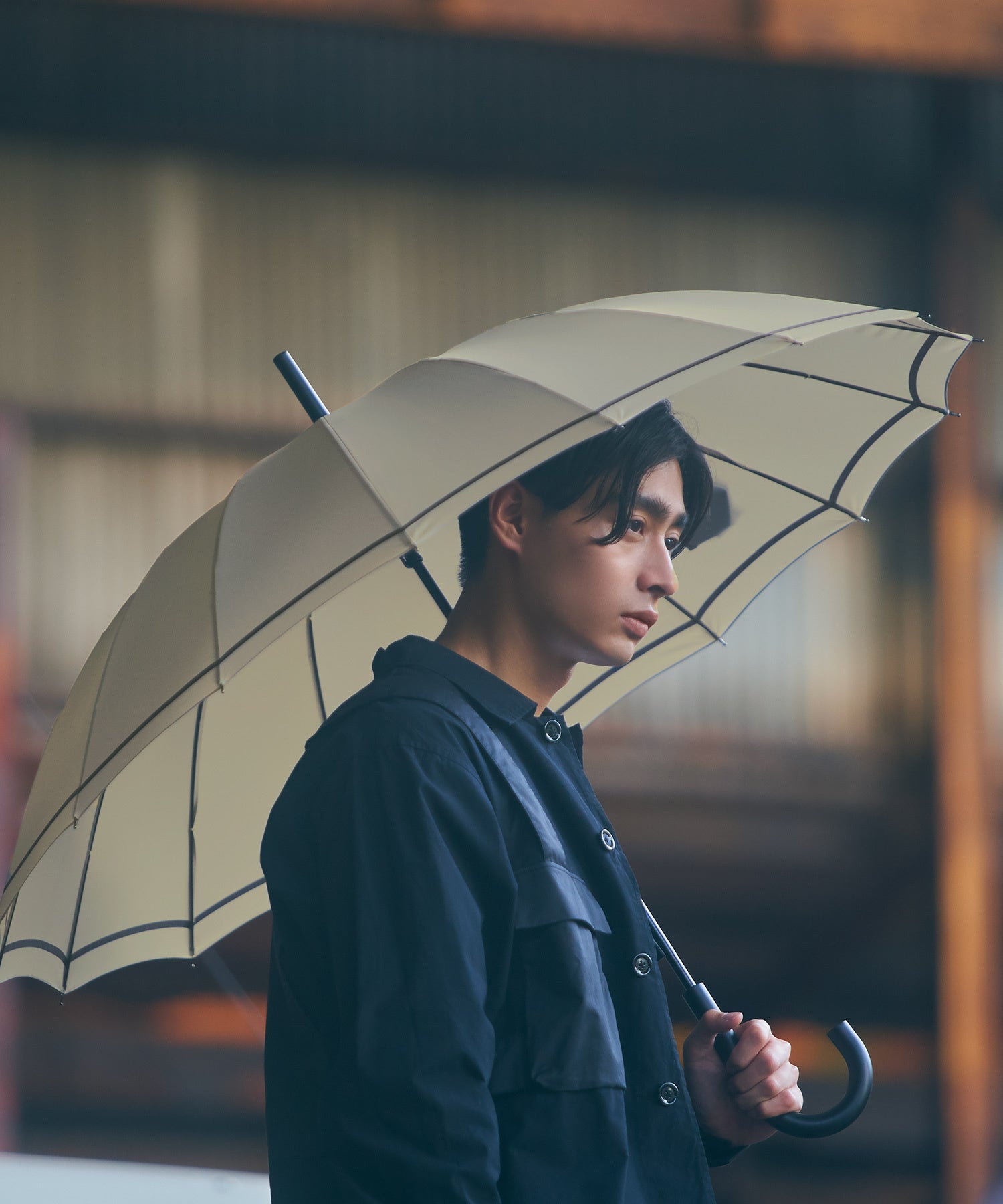 ベージュシングルライン