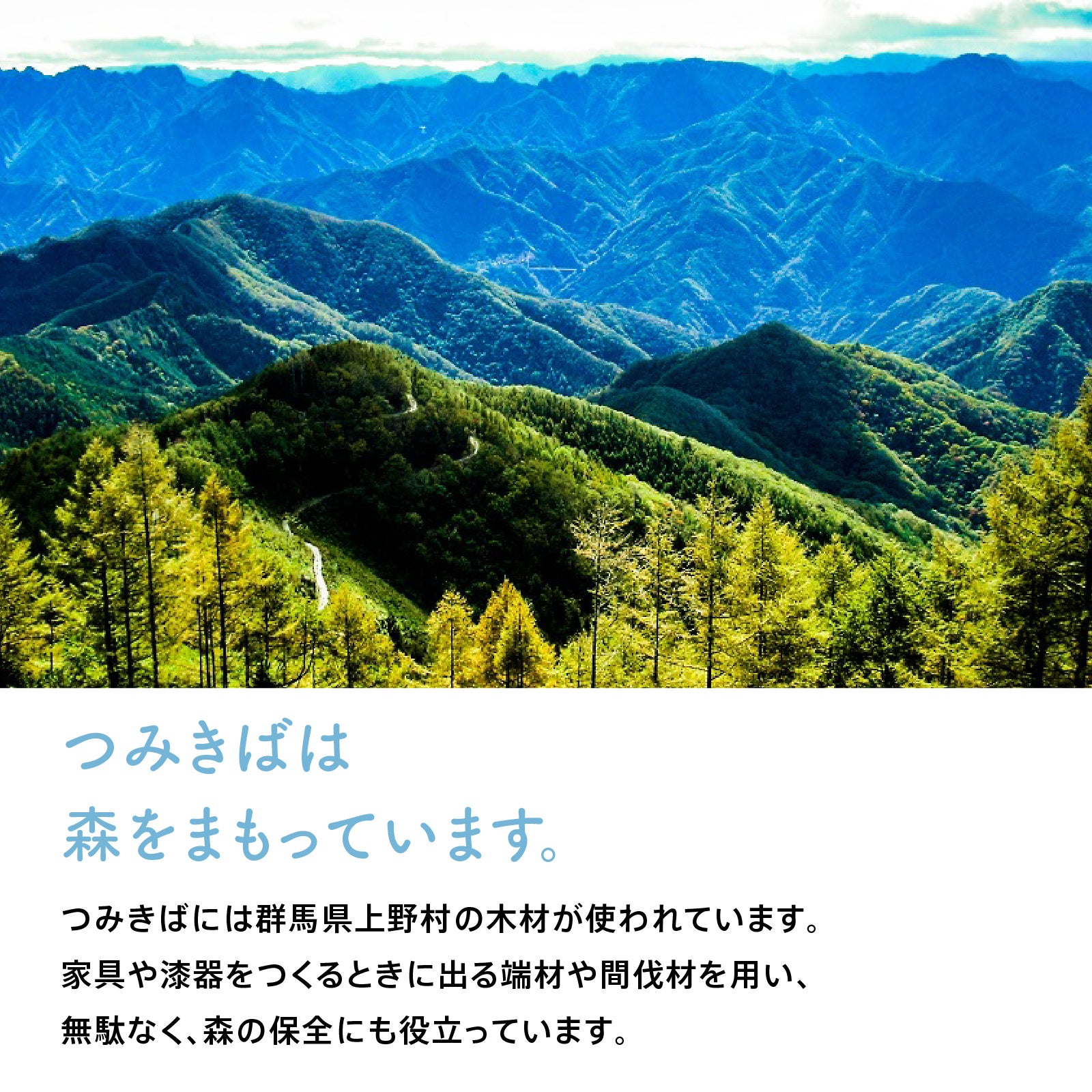 つみきばは森の保全に役立っています