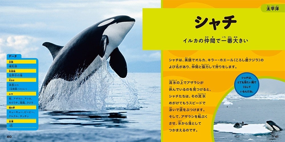 世界の海で暮らす生き物を知ろう ナショジオキッズ 大きな写真で楽しむ はじめてのわくわく図鑑 海の生き物編 発売 株式会社インプレスホールディングスのプレスリリース 世界の海で暮らす生き物を知ろう ナショジオキッズ 大きな写真で楽しむ はじめてのわくわく図鑑 海の生き物編 発売 株式会社インプレスホールディングスのプレスリリース