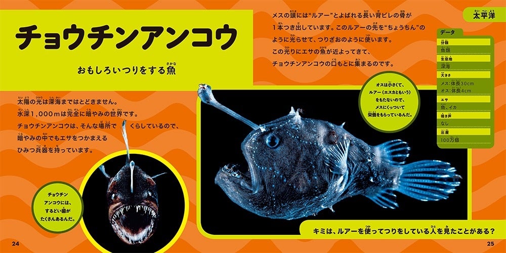 世界の海で暮らす生き物を知ろう ナショジオキッズ 大きな写真で楽しむ はじめてのわくわく図鑑 海の生き物編 発売 株式会社インプレスホールディングスのプレスリリース