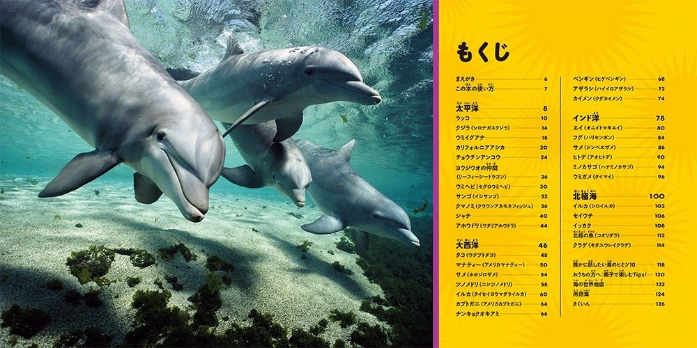 世界の海で暮らす生き物を知ろう ナショジオキッズ 大きな写真で楽しむ はじめてのわくわく図鑑 海の生き物編 発売 株式会社インプレスホールディングスのプレスリリース 世界の海で暮らす生き物を知ろう ナショジオキッズ 大きな写真で楽しむ はじめてのわくわく図鑑 海の生き物編 発売 株式会社インプレスホールディングスのプレスリリース