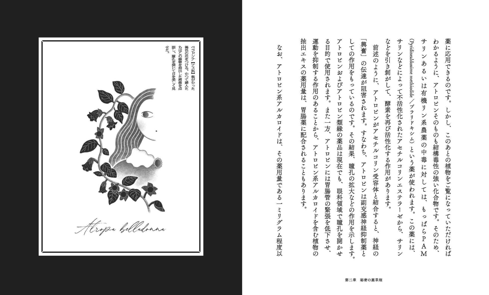 麻薬、媚薬、毒薬――。毒と薬の専門家が贈る、『禁断の植物園』へようこそ。人間の欲望を満たし、時にその闇へ陥れる、麻薬や有毒植物、薬用植物36種を紹介。
