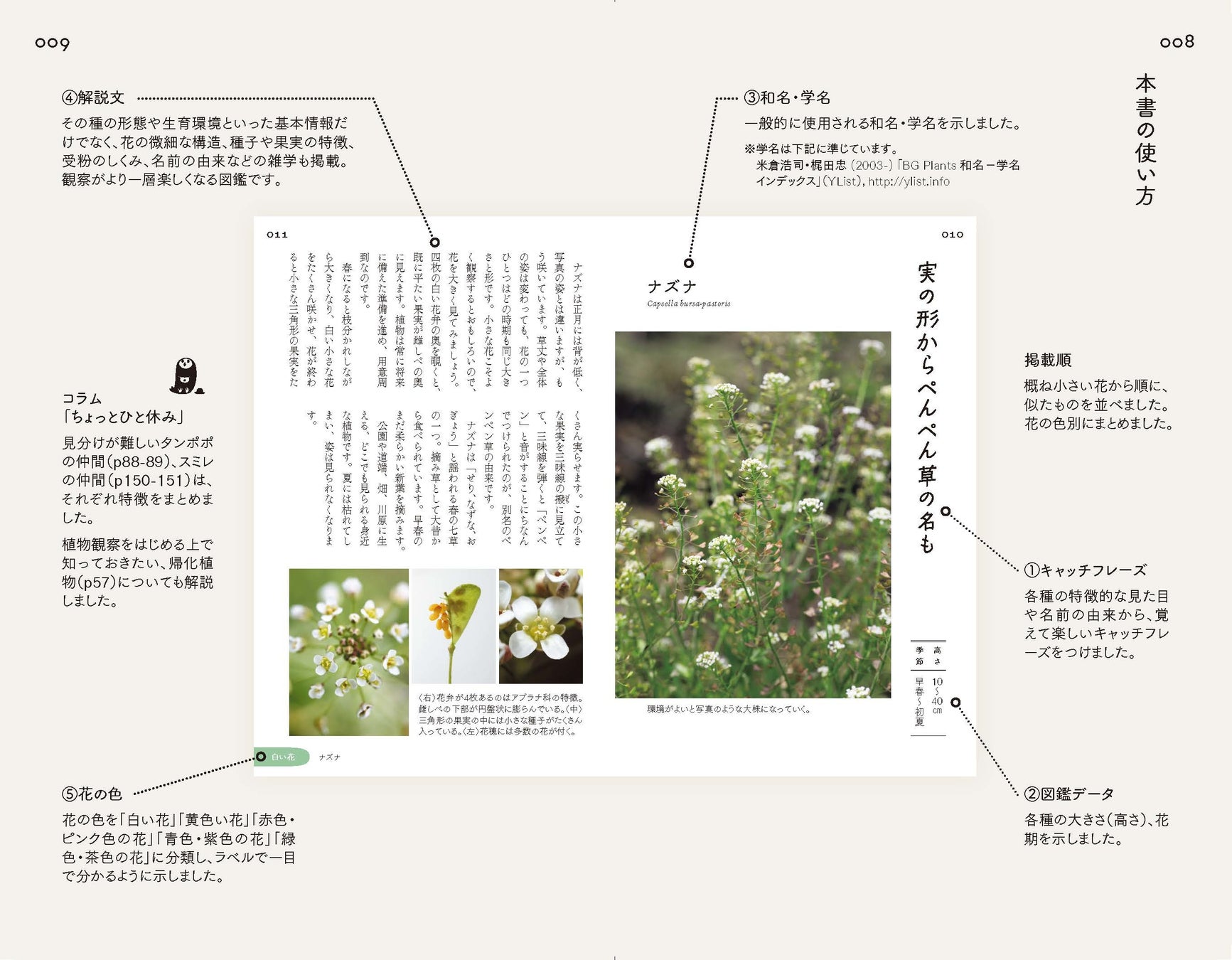 市街地で出会える 身近な雑草の花100種を選抜 散歩道の図鑑 あした出会える雑草の花100 で あしたの 散歩が 今日よりもっと楽しくなる 株式会社インプレスホールディングスのプレスリリース 市街地で出会える 身近な雑草の花100種を選抜 散歩道の図鑑 あした出会える雑草の花100 で あしたの 散歩が 今日よりもっと楽しくなる 株式会社インプレスホールディングスのプレスリリース