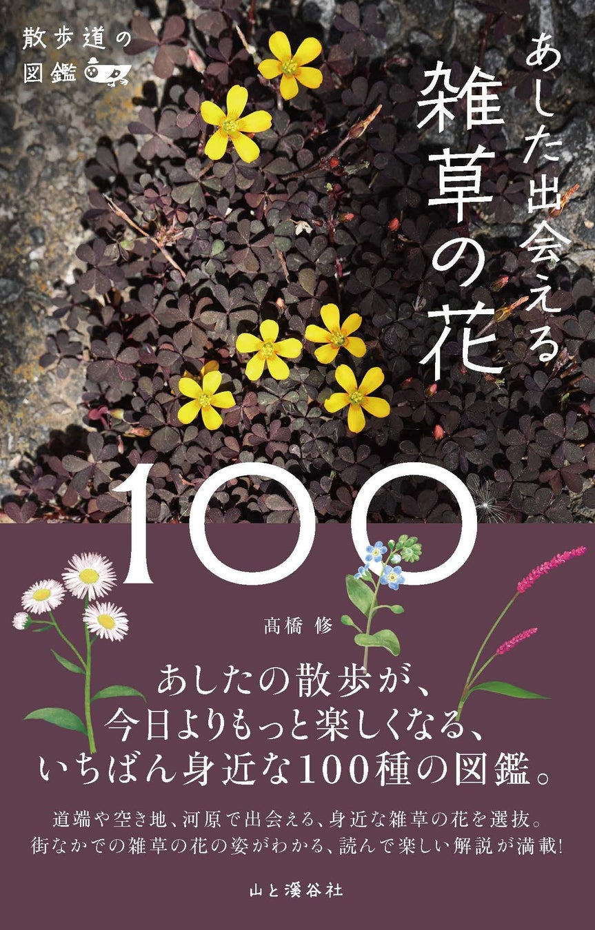 市街地で出会える 身近な雑草の花100種を選抜 散歩道の図鑑 あした出会える雑草の花100 で あしたの散歩が 今日よりもっと楽しくなる 株式会社インプレスホールディングスのプレスリリース 市街地で出会える 身近な雑草の花100種を選抜 散歩道の図鑑 あした出会える雑草の花100 で あしたの散歩が 今日よりもっと楽しくなる 株式会社インプレスホールディングスのプレスリリース
