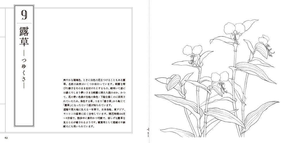 江戸庶民が夢中になった草花を写実に描いた博物図『おとなの