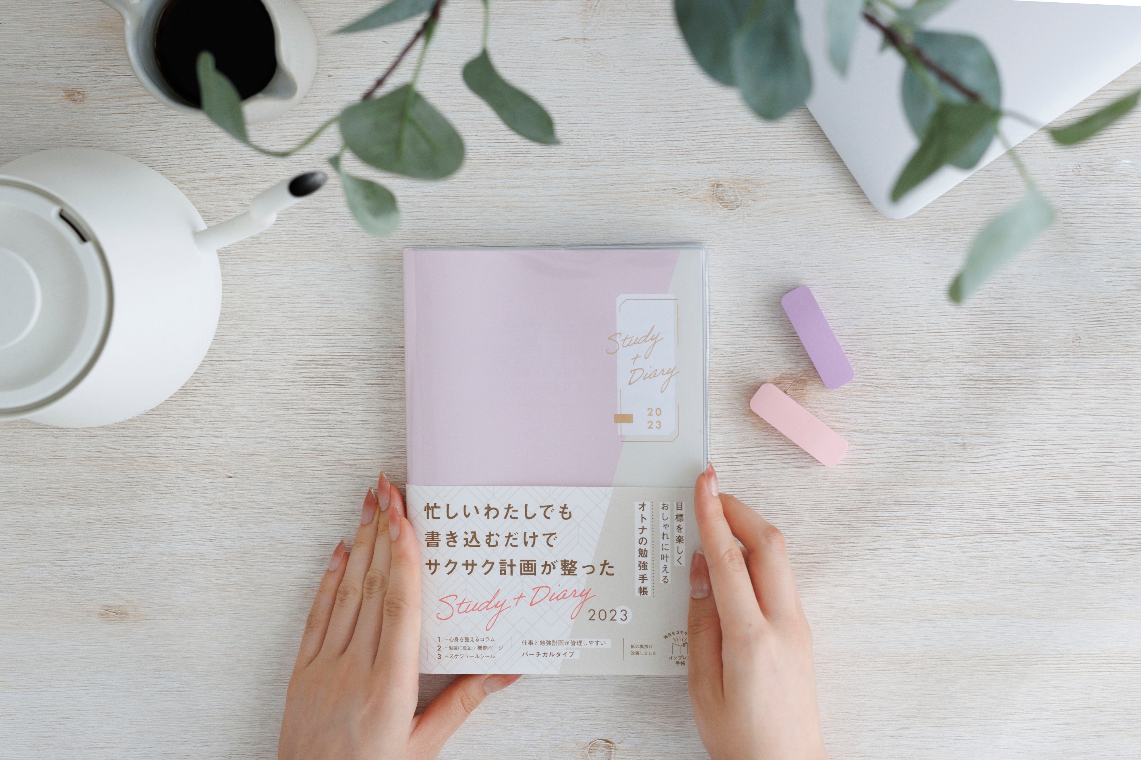 通常カラー「クリアピンク×クレームベージュ」。毎年、同じピンクでも微妙に色合いを変えています。