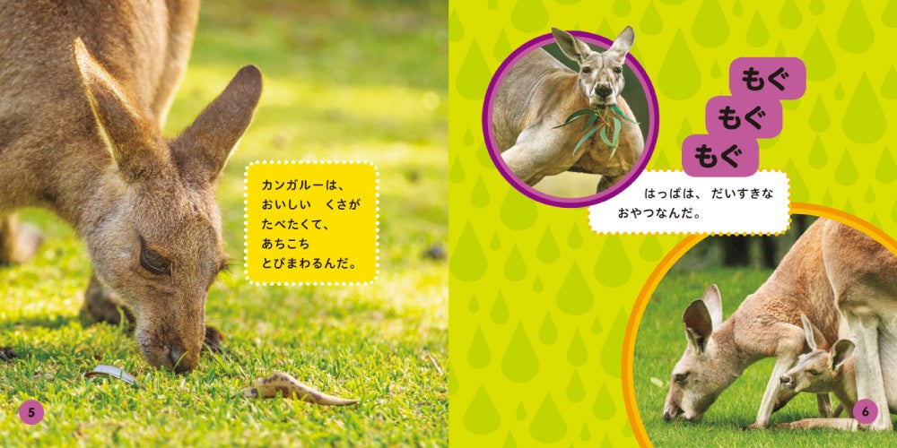 世界の生き物たちのくらしをのぞいてみよう！『ナショジオキッズ