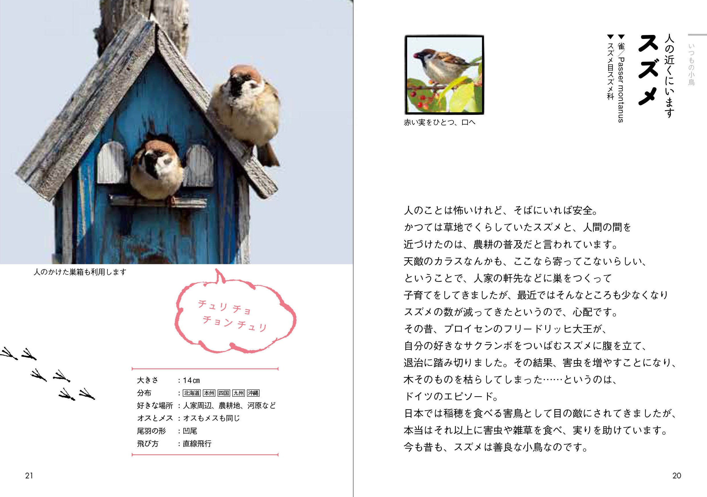 図鑑9冊まとめ売り メダカ品種図鑑IV - 桜めだか
