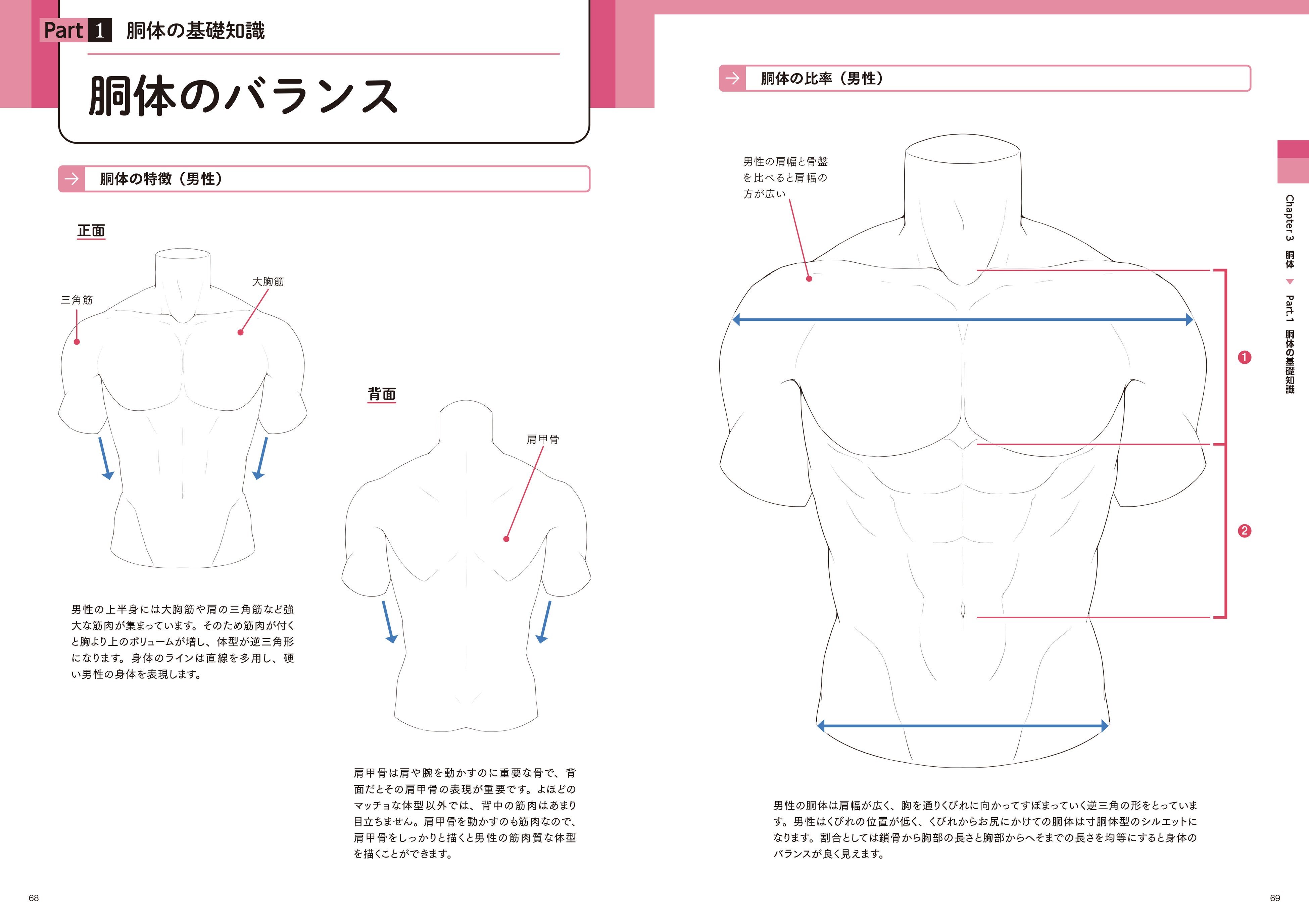 Chapter3 胴体「胴体のバランス」