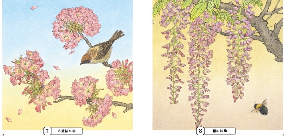 四季の花鳥図を伝統的な技法と様式美で描写する『おとなの