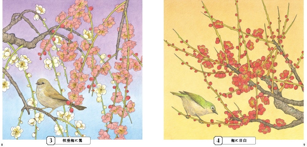 四季の花鳥図を伝統的な技法と様式美で描写する『おとなの