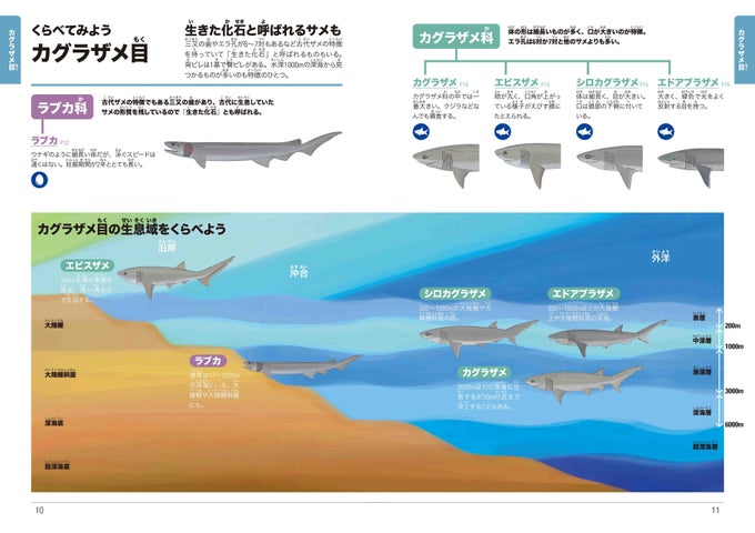 『くらべてわかるサメ』イラストで比較！150種類の違いを解説