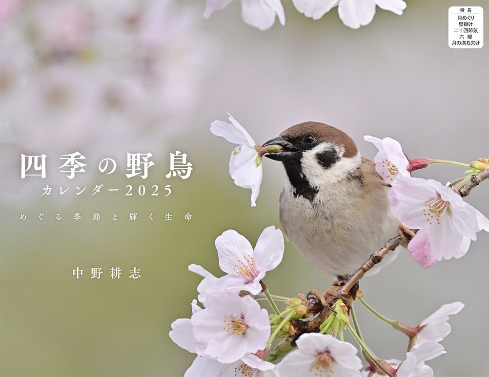 たくましく、美しい鳥たちのカレンダー『四季の野鳥』(イカロスカレンダー2025)発売