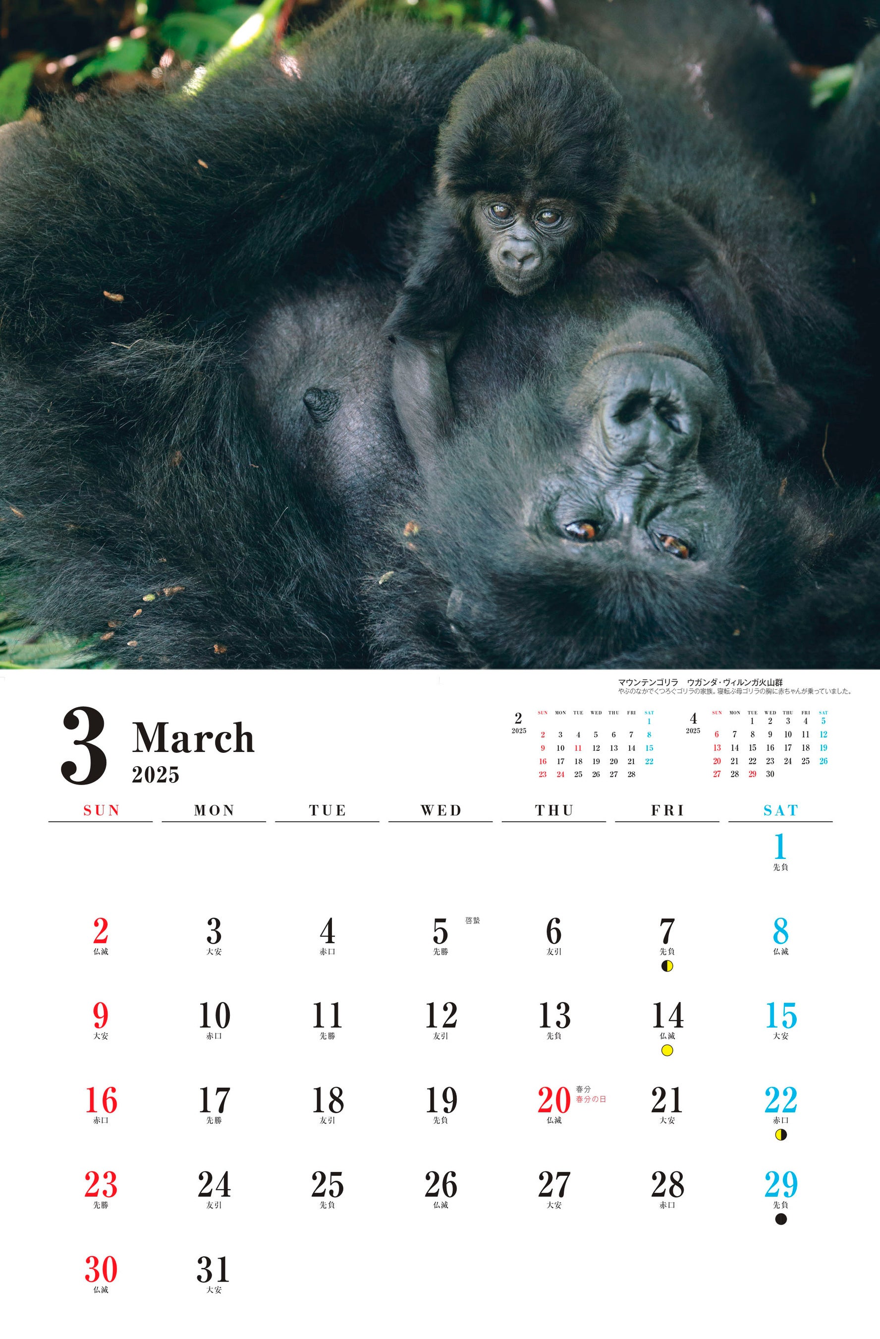 希少 絶版 第一刷 初版 我が家を通り過ぎていく動物たち 犬たちが伝えてくれる本当の気持ち / 福本 友希子【著】 - 紀伊國屋