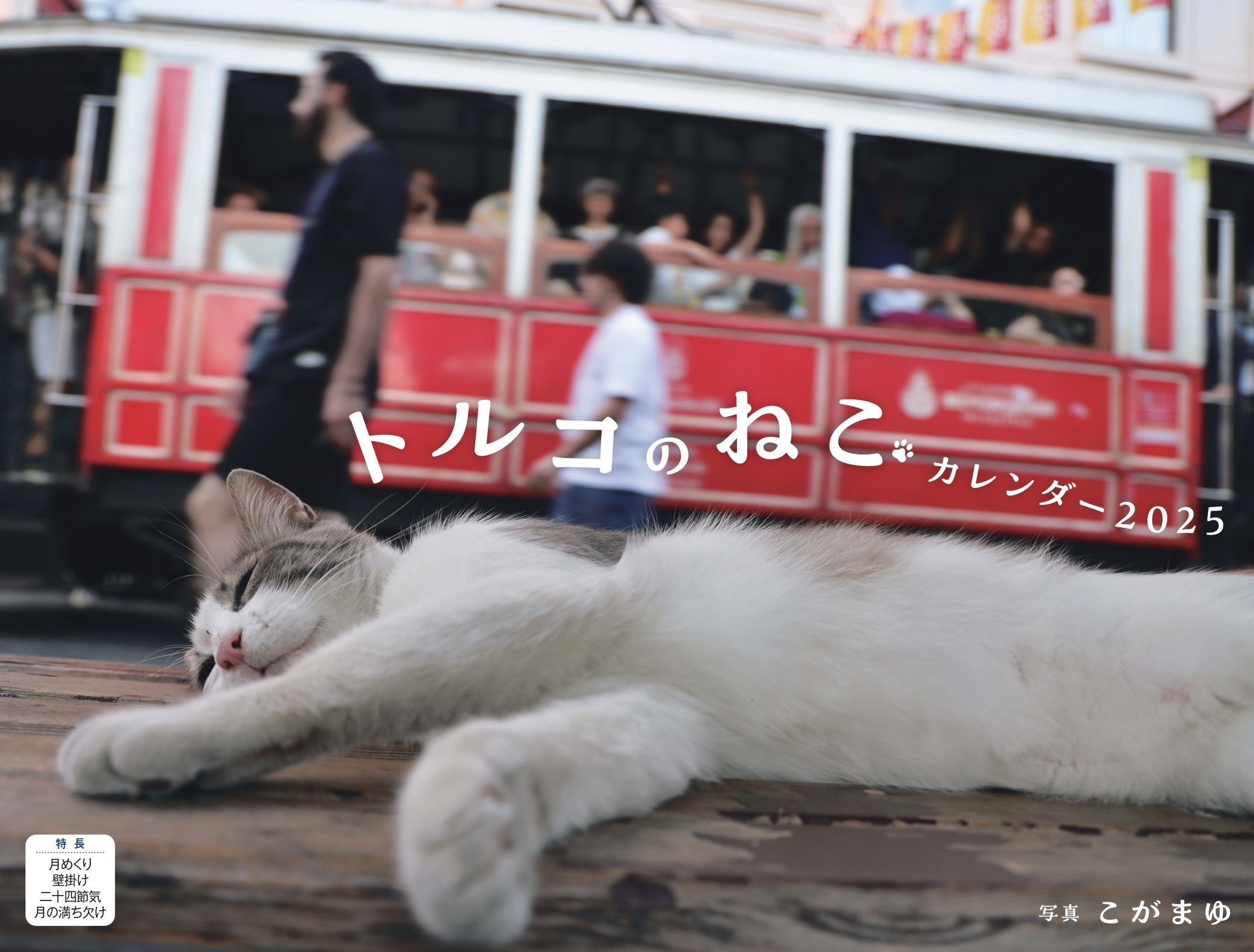 Koak コアック\
