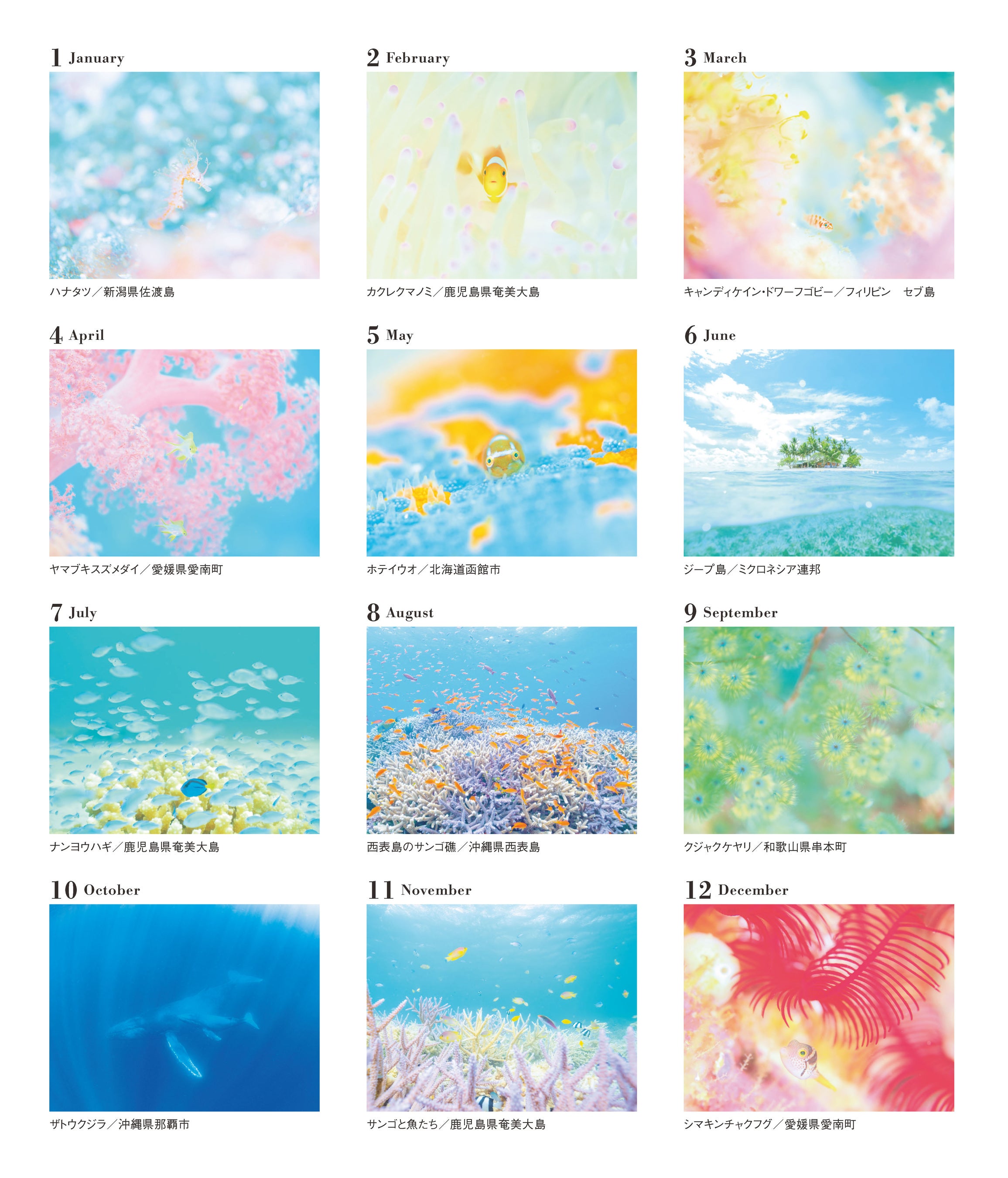 水中写真家・むらいさち氏の幻想世界 ふんわり、ゆるい、しあわせ時間