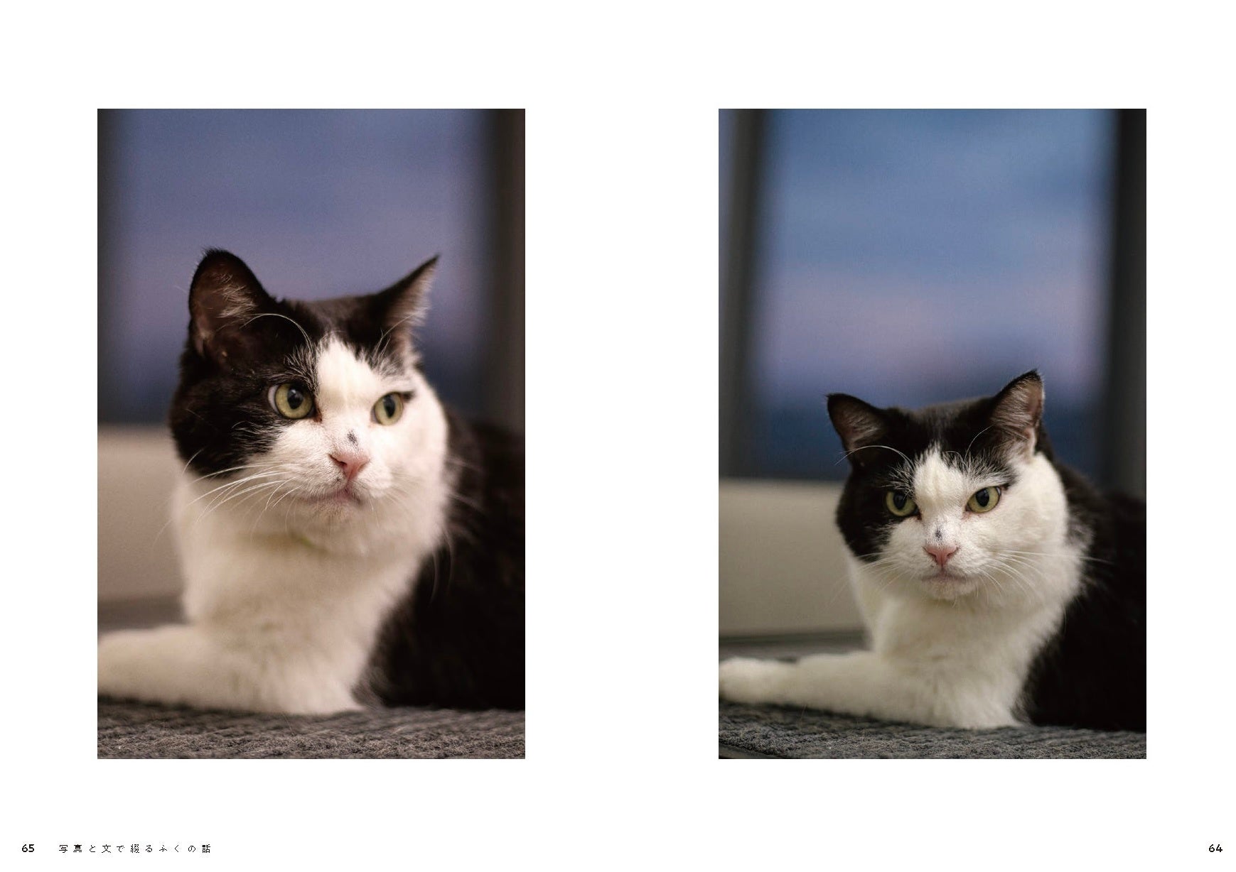 予約開始から大反響＆発売前重版決定！ 能登復興を支える運送会社の